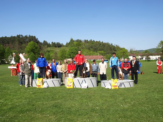 www.atibox.net * www.euroboxer.eu * www.boxergenealogia.eu